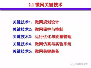 分布式能源智能微网技术与发展 网络技术研究的关键角色与前沿趋势